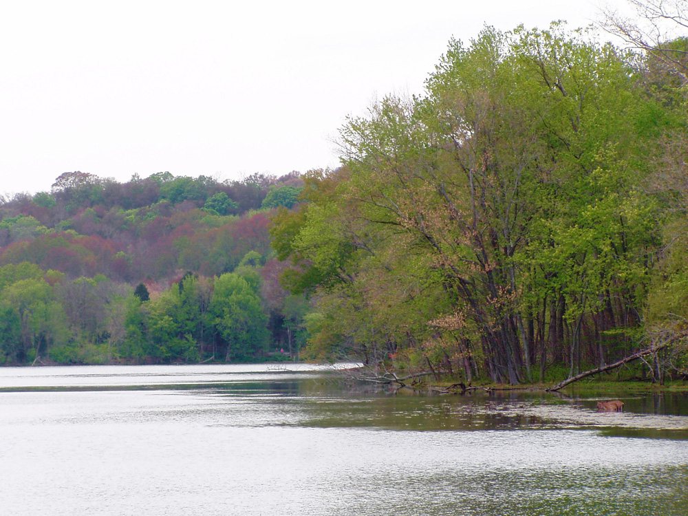 Trail along the water at Radnor Lake State Park near Nashville