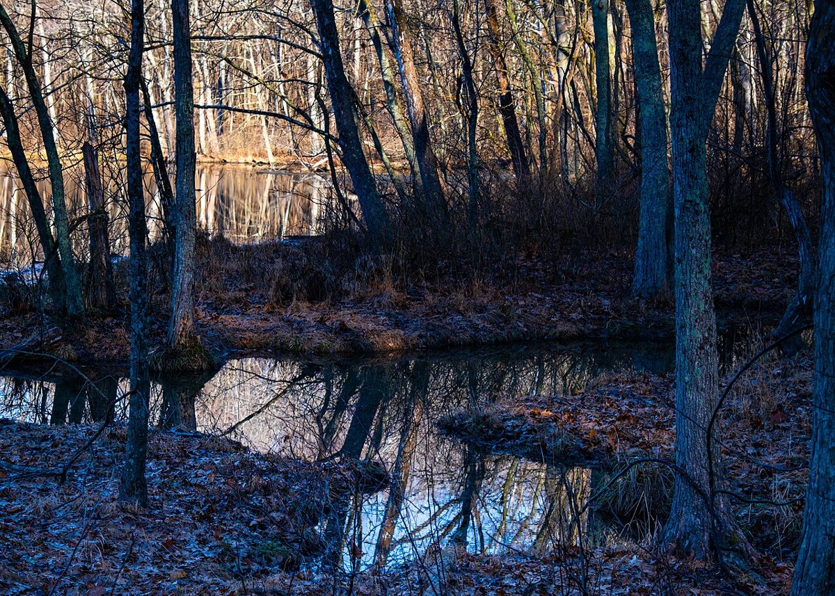 Misty morning view of Radnor Lake State Park with reflections on the water