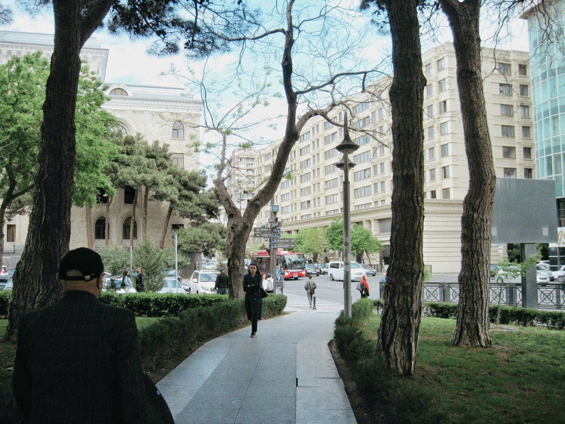 pedestrians walking a tree-lined Gulch sidewalk